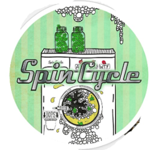 Spin Cycle #46 Logo